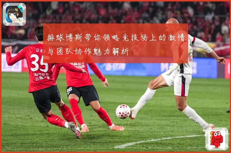 排球博斯带你领略竞技场上的激情与团队协作魅力解析