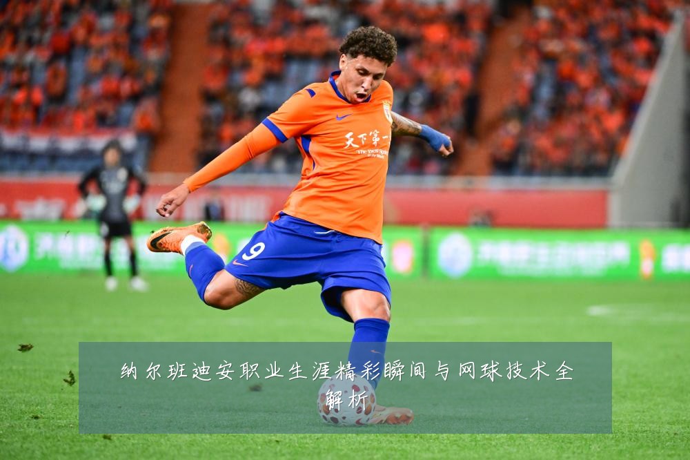 纳尔班迪安职业生涯精彩瞬间与网球技术全解析