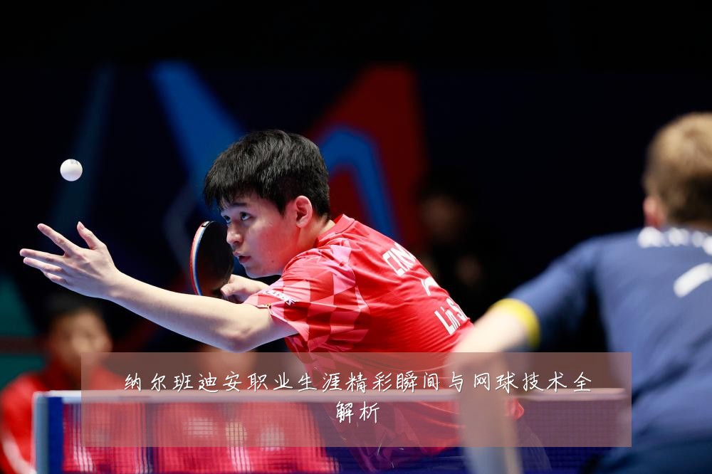 纳尔班迪安职业生涯精彩瞬间与网球技术全解析